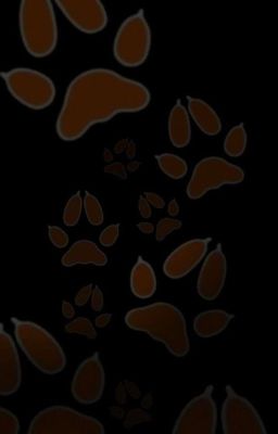 университет пальмето и новая любовь| все ради игры 