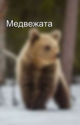 Медвежата