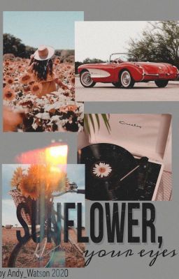 Sunflower, your eyes