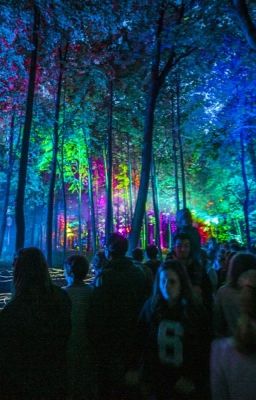 Новый год-время чудес!