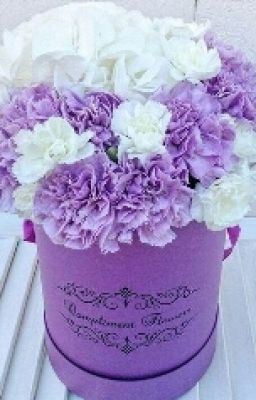 Школа  Интернат