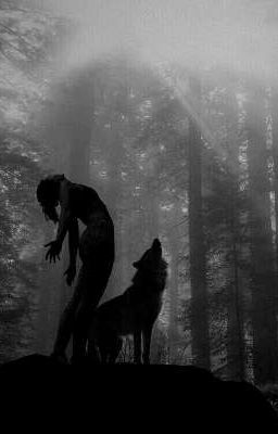 Прошлое должно оставаться в прошлом.