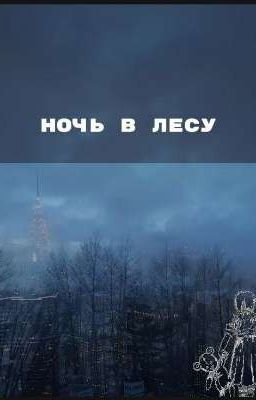 Ночь в лесу