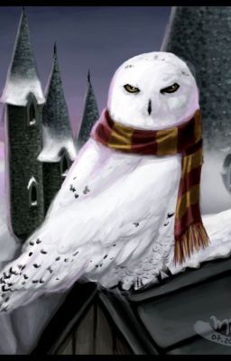 Белая птица