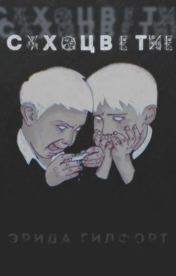 Сухоцветие