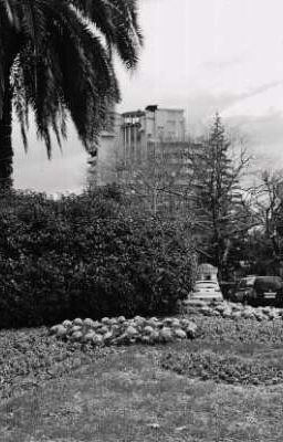 Город грехов 