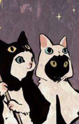 Попаданка   в Наруто 