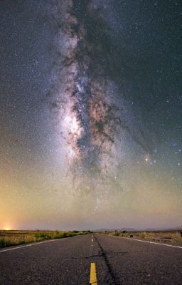 Дневник Кейси.