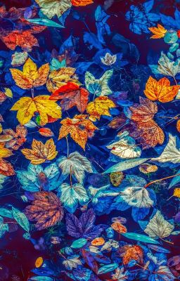 Найти тебя.