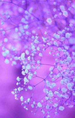 "Всё что прекрастно,всегда оживёт....."