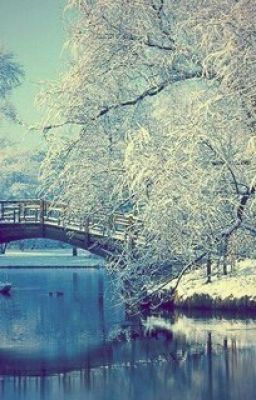 Вечное молчание.