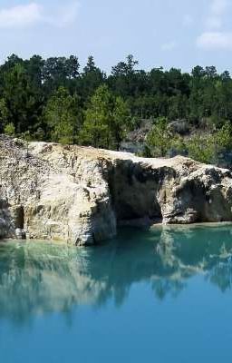 Компания Детективов. 