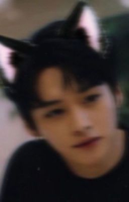 Мой любимый кот 🐈⬛