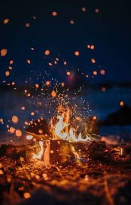 Бессонная ночь