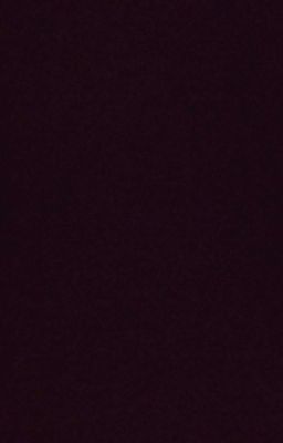 STALKER История Чёрного