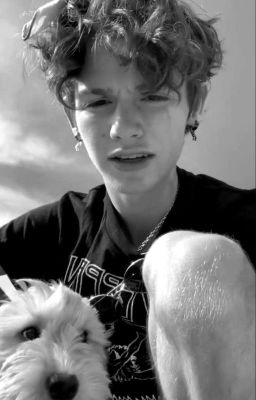 •Из тихони в Королеву мафии• {ЗАКОНЧЕН} 