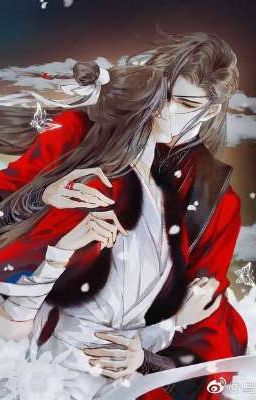 Раны, которые ты (не) залечишь