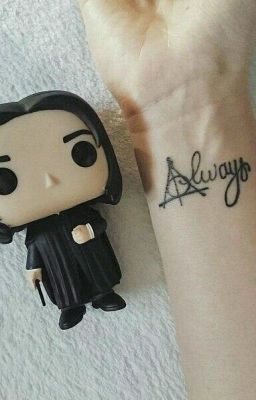 Гарри Поттер и Тайный сундук