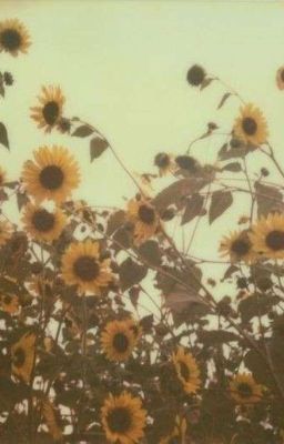 Сообщения без пометки "отправлено"