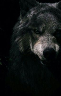 Про двоих.Дочь Сатаны.