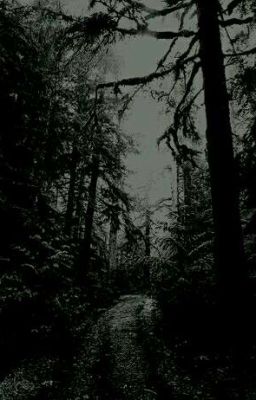 Мы уже не те 