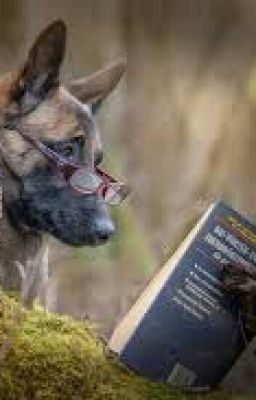 Нашествие зомби