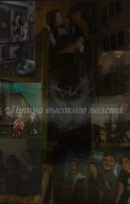 Птица высокого полета|Турбо