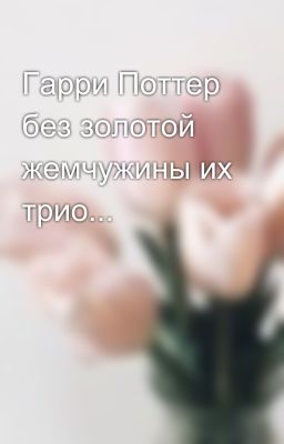 Гарри Поттер без золотой жемчужины их трио...