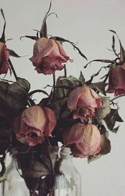 умей учиться на ошибках. 