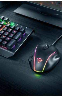 Любовь киберспортсмена 