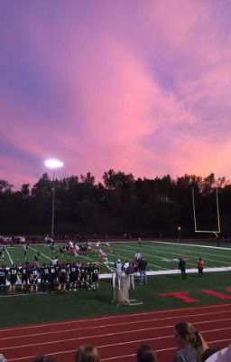 серая мышка американской школы