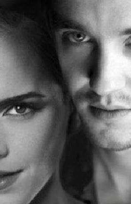 Чай с яблоками и корицей, в тишине библиотеки