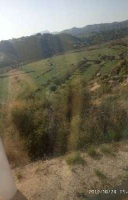 планы на 2020