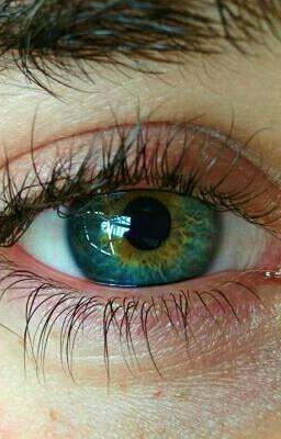 Жестокость в его сердце 