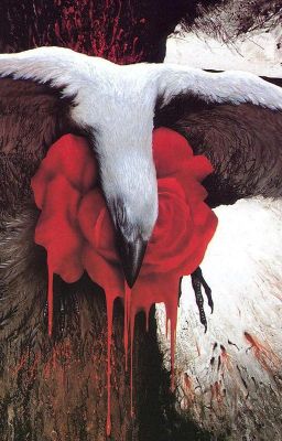 Принцесса-лебедь.