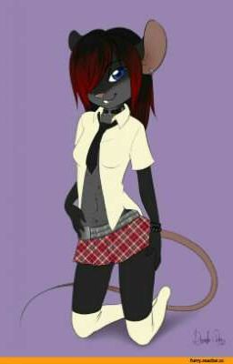 школьные будни