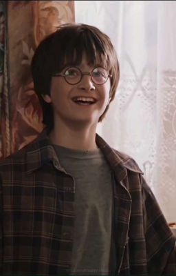  Новый дом для Гарри