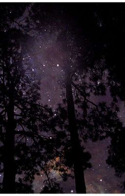 Самое время для... 