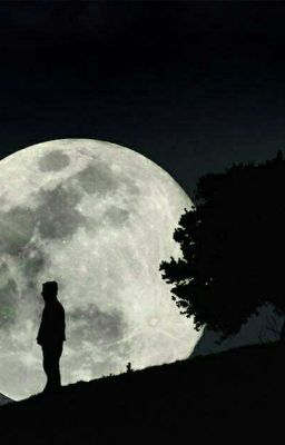 Стопроцентный