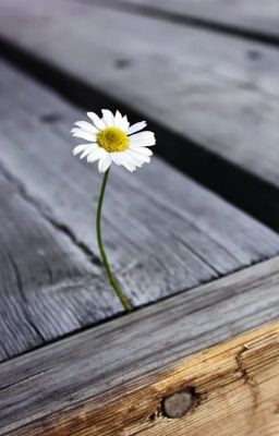 Нам бы любви, да побольше.