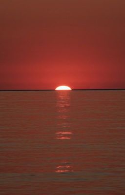 Наше лето, Или 1461 день. Слишком сильные чувства.