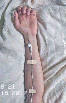 Музыка жизни