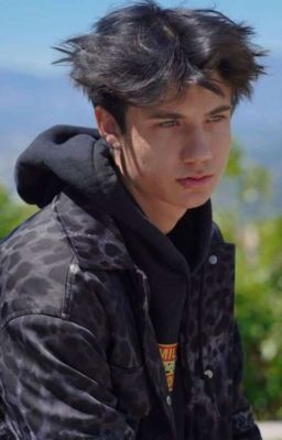 В поисках счастья двух мафий)