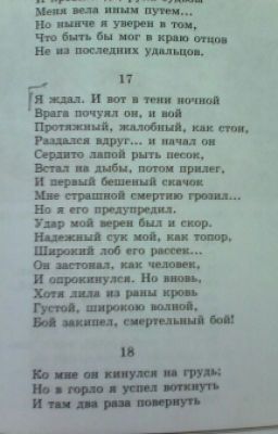 Жизнь Природы Там Слышна