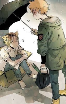 Кошка у дорожки