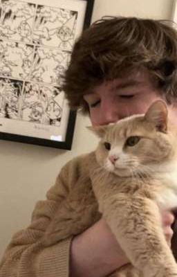 ты мой лучик солнца❤️‍🩹