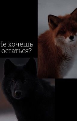 Не хочешь остаться?