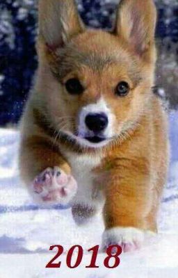 Мы оборотни!!!