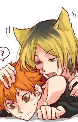 Внезапная встреча 