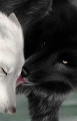 Неужели.Неужели жизнь только боль ?